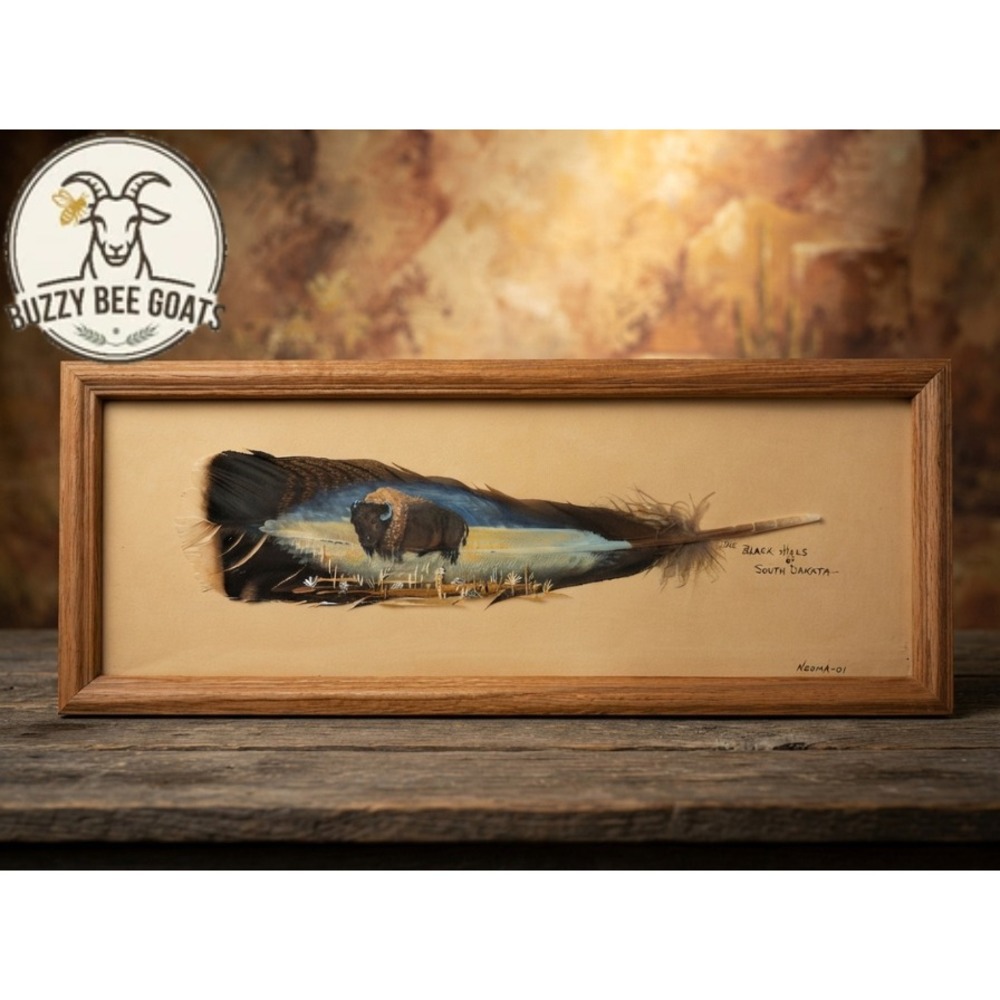 Hand-Painted Feather Art, Black Hills South Dakota landscape Scene, Framed Folk